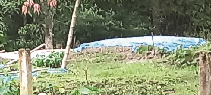 Image of মো: সোহেল আখঞ্জি